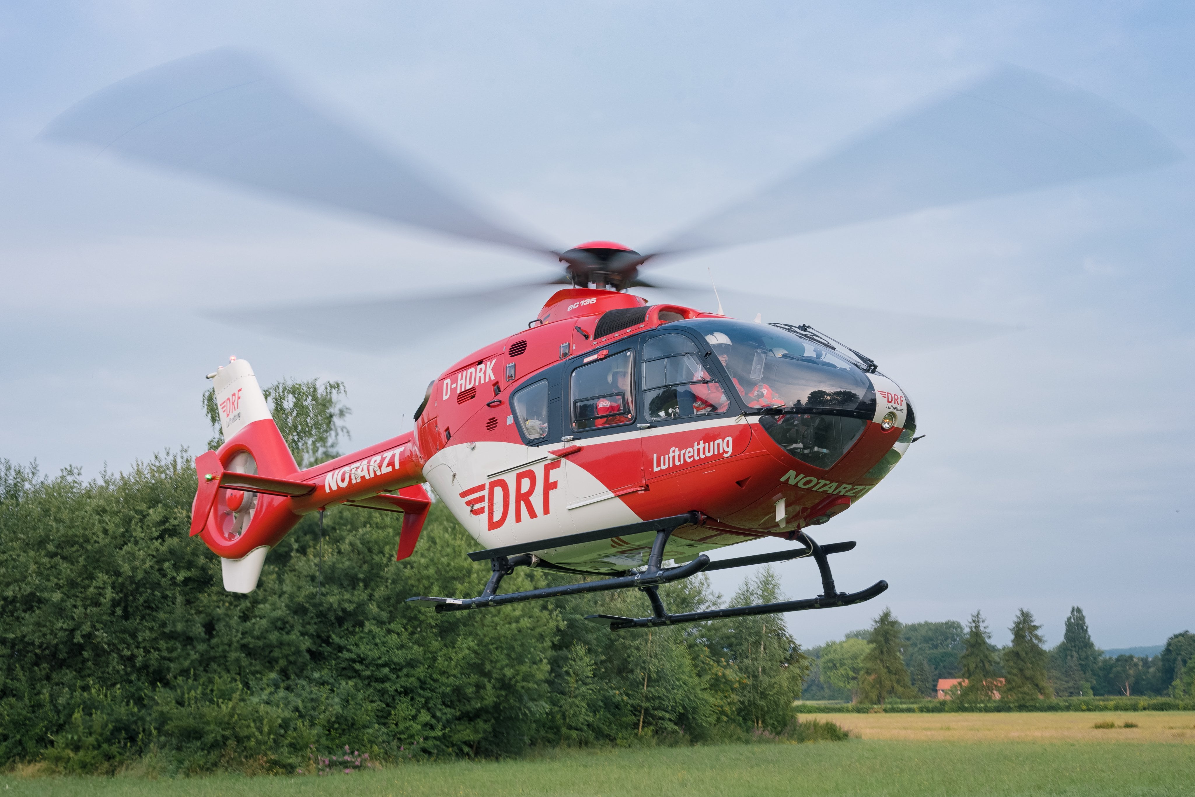 Drf. "Reely d-ec135".